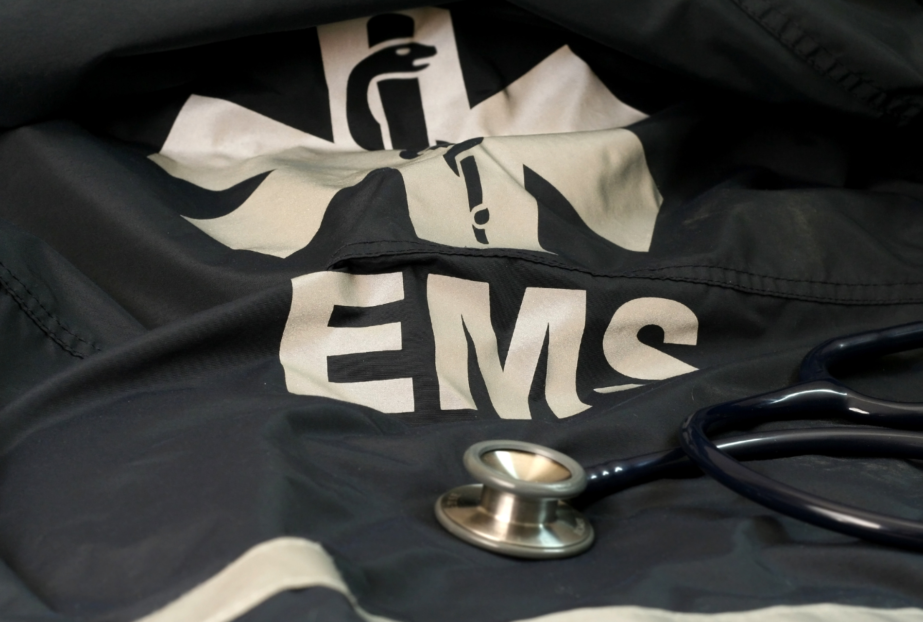 Successful and Sustainable EMS Mentoring Programs - Fitch & Associates